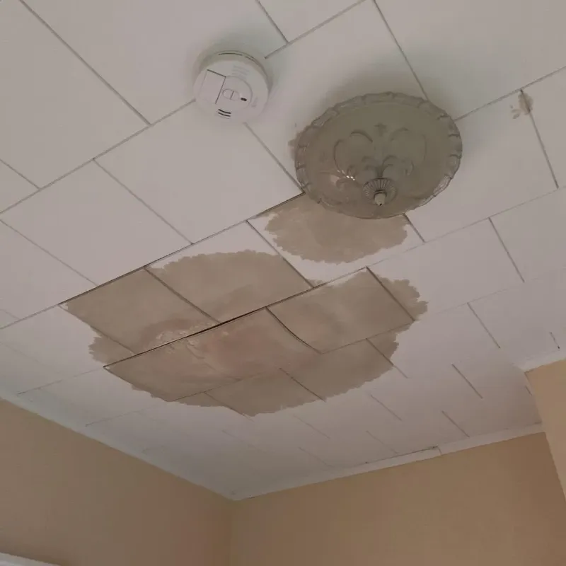 Ceiling Water Damage Repair in Lake Wissota, WI