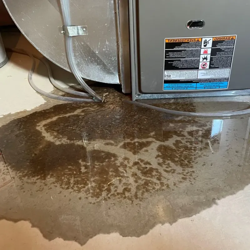 Pipe Burst and Leak Restoration in Lake Wissota, WI