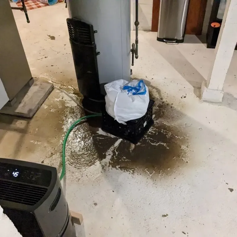 Sewage Backup Cleanup Service in Lake Wissota, WI